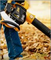 Leaf Blowers And Vacs