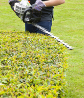 Petrol Hedgetrimmers